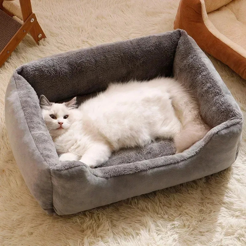 Cats & Dogs Bed and Cushion Accessories Kit