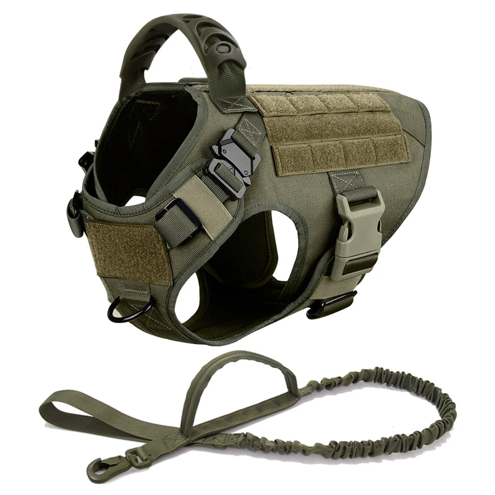 Large Dog Harness & Leash Set for Training