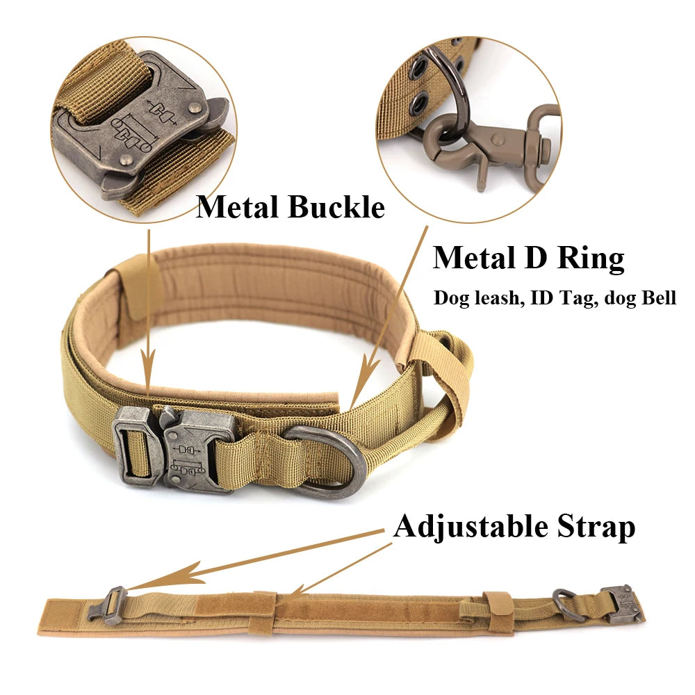Large Dog Harness & Leash Set for Training