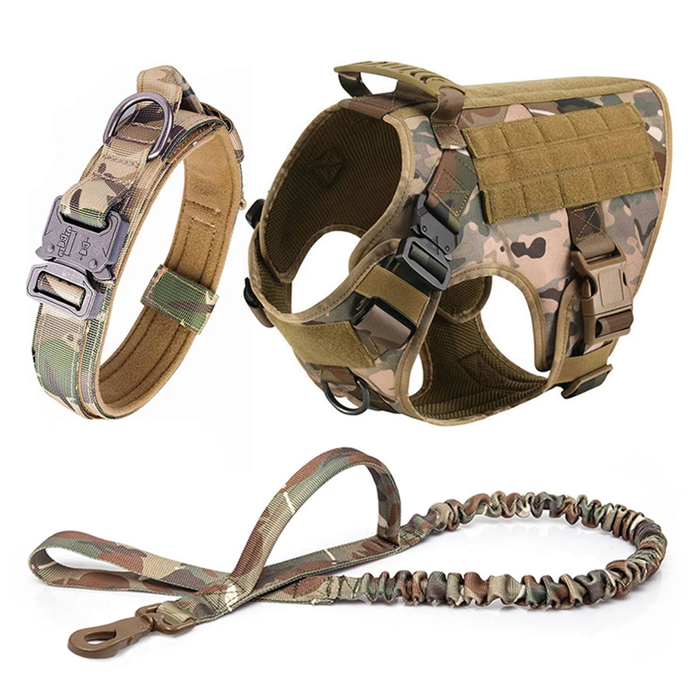 Large Dog Harness & Leash Set for Training