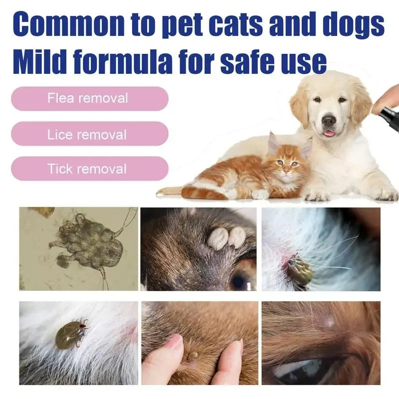 100ml Pet Anti-Flea & Insecticide Drops