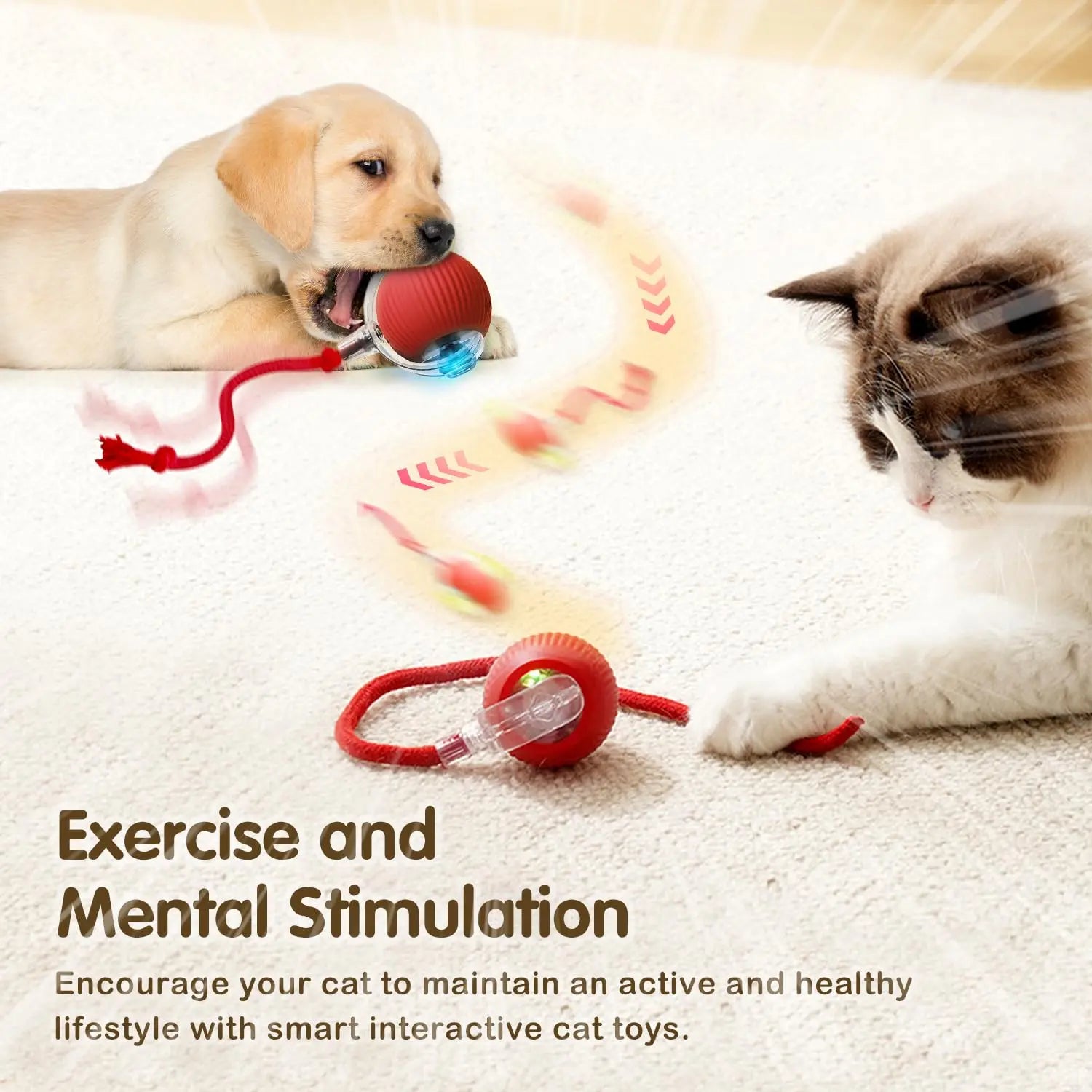 Smart Cat Toy – Rechargeable Rolling Ball with Tail