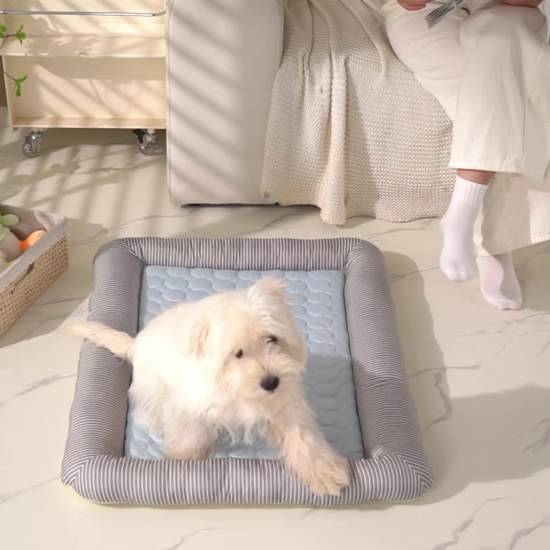 Comfort Cooling Mat for Dogs & Cats – Waterproof