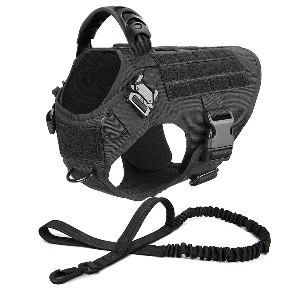 Large Dog Harness & Leash Set for Training