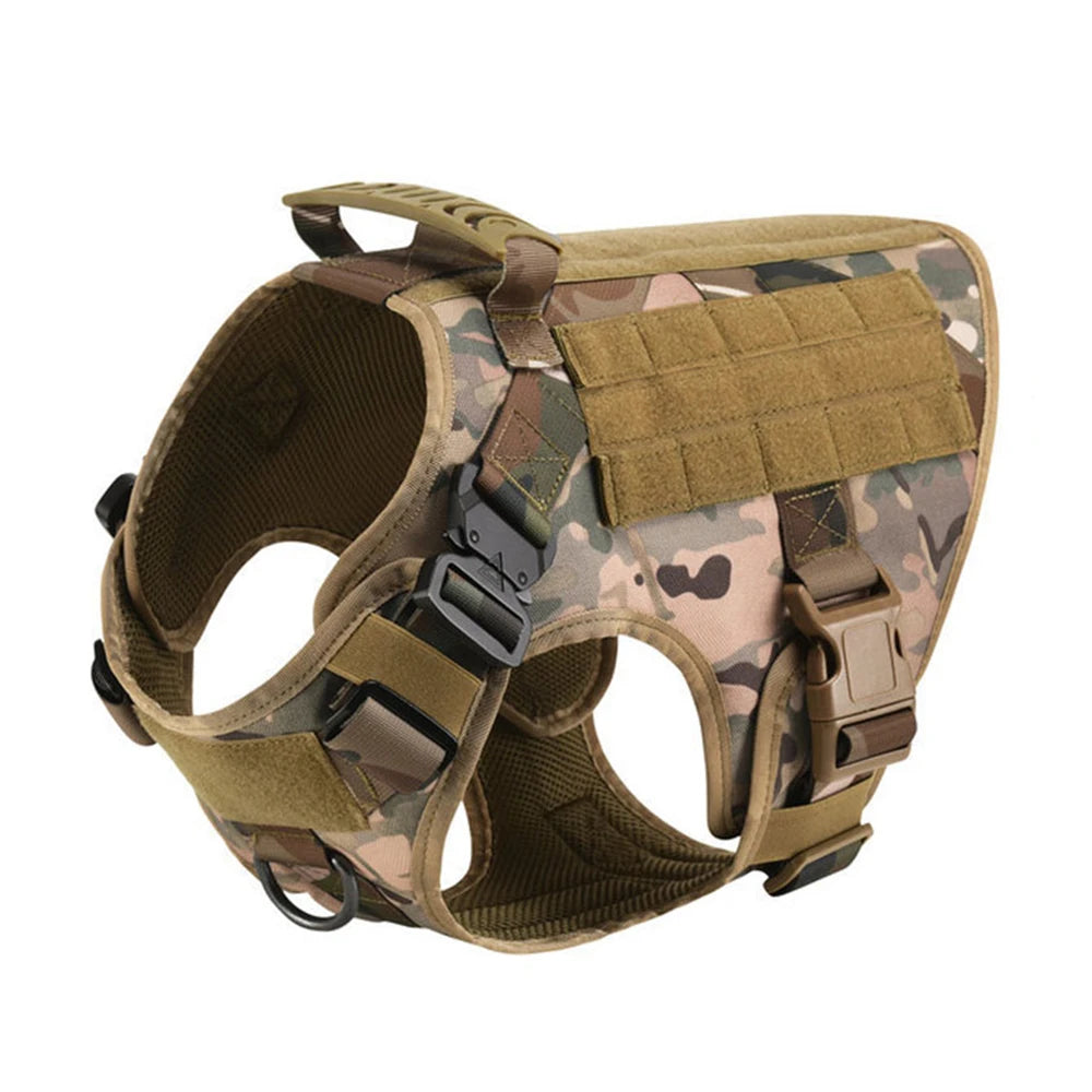 Large Dog Harness & Leash Set for Training