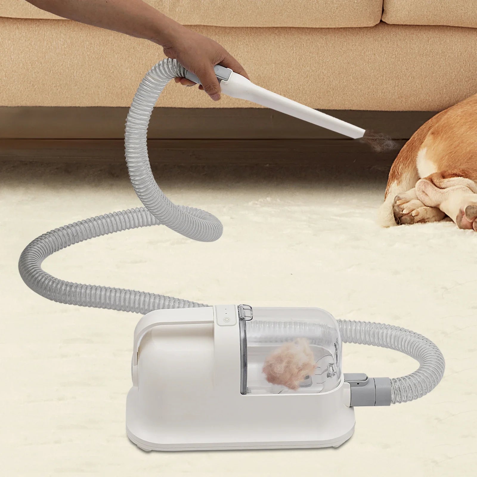 3-in-1 Pet Grooming Tool Set with Low-Noise Trimmer