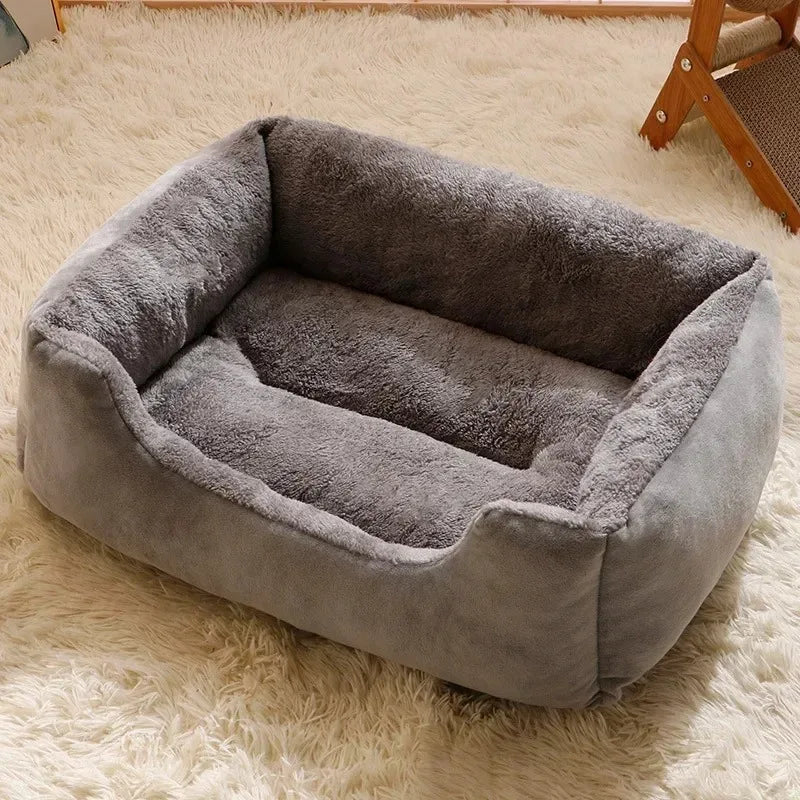 Cats & Dogs Bed and Cushion Accessories Kit