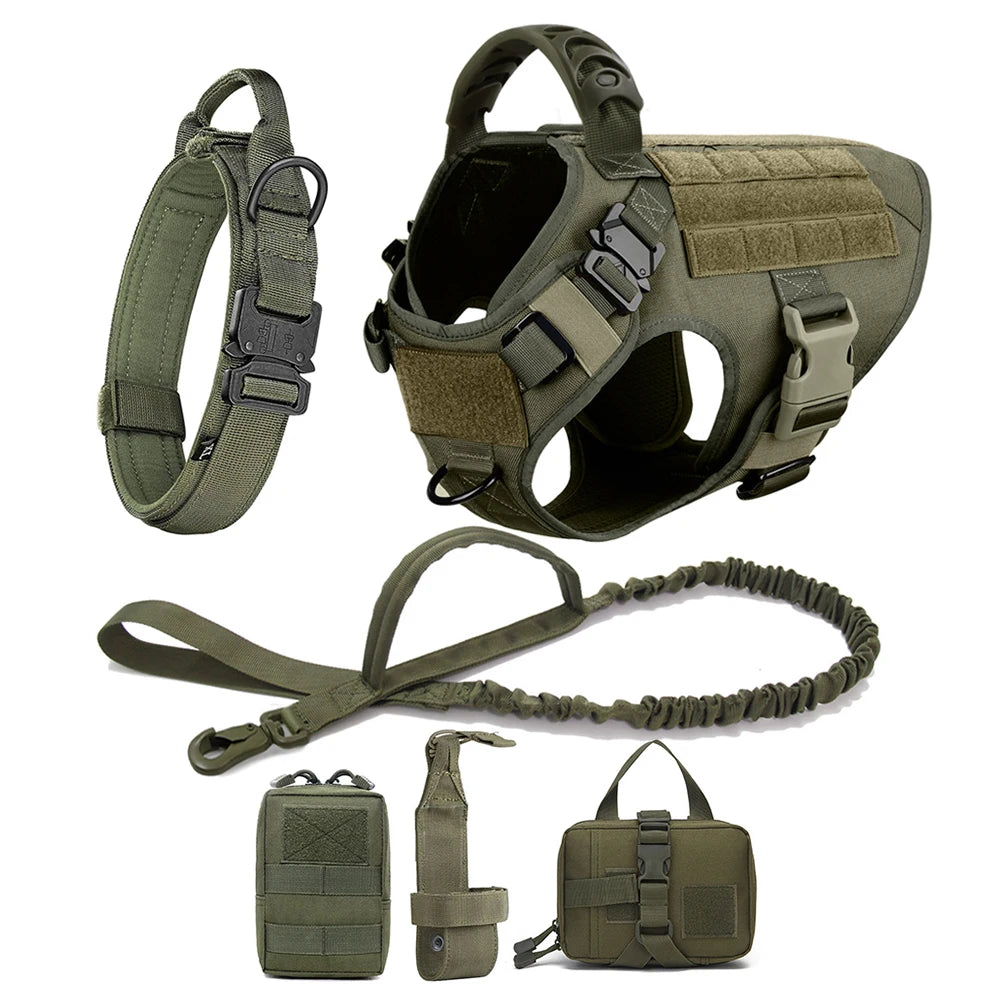 Large Dog Harness & Leash Set for Training