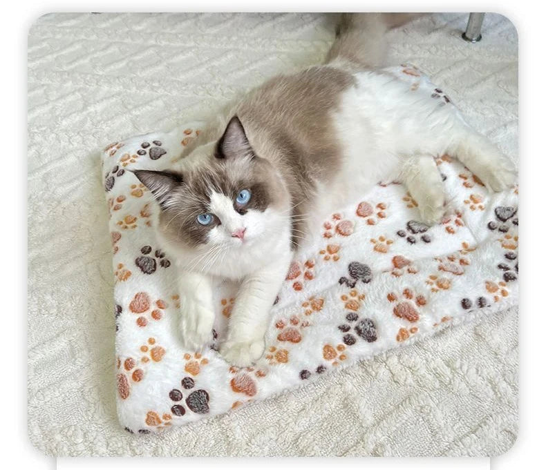 Flannel Pet Sleeping Mat & Sofa Cushion