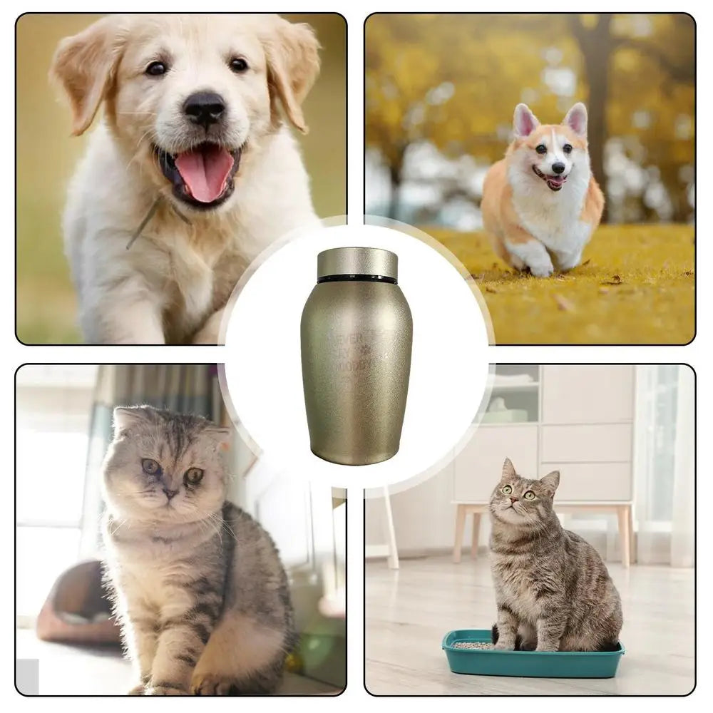 Stainless Steel Pet Urn – Engraved Paw Print Memorial Jar