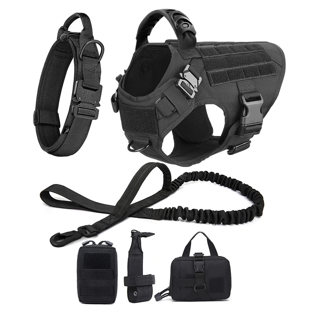 Large Dog Harness & Leash Set for Training