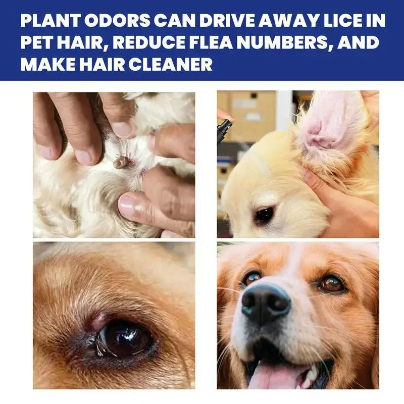 100ml Pet Anti-Flea & Insecticide Drops