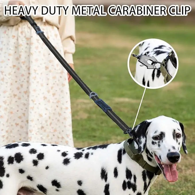 Heavy-Duty Bungee Dog Leash – Reflective, No-Pull with Car Seatbelt Clip