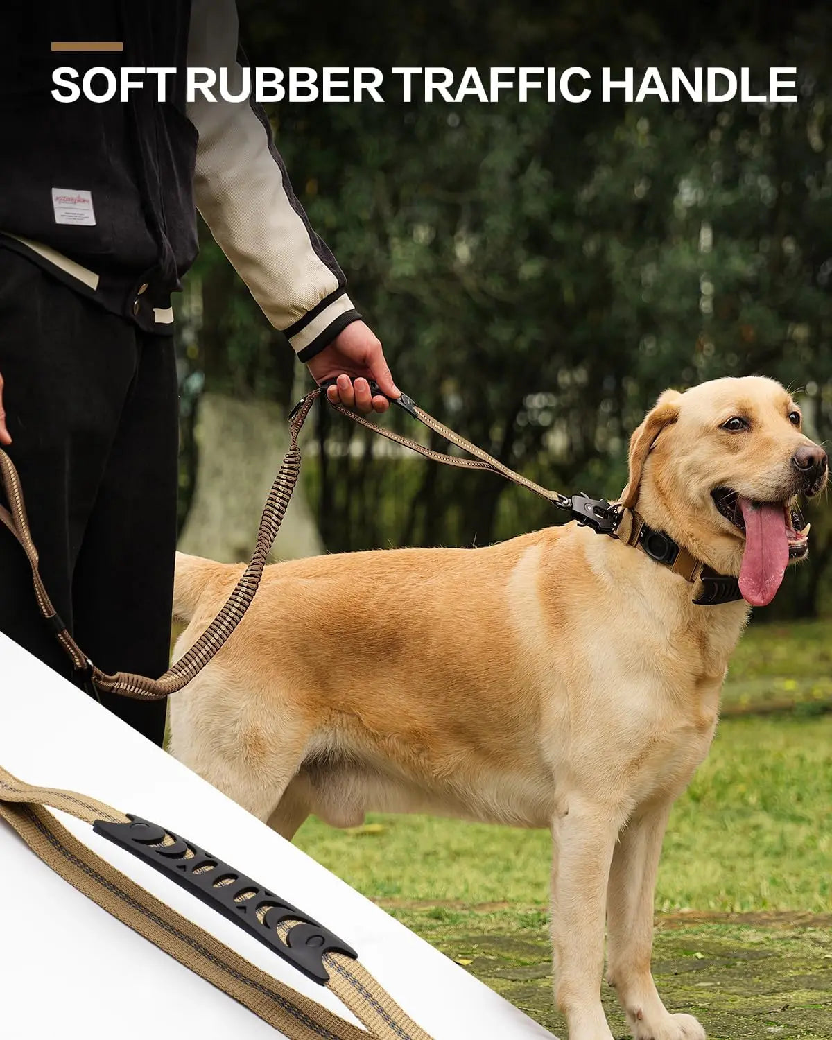 Heavy-Duty Bungee Dog Leash – Reflective, No-Pull with Car Seatbelt Clip