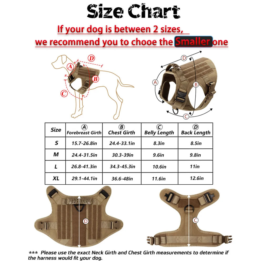Large Dog Harness & Leash Training Set