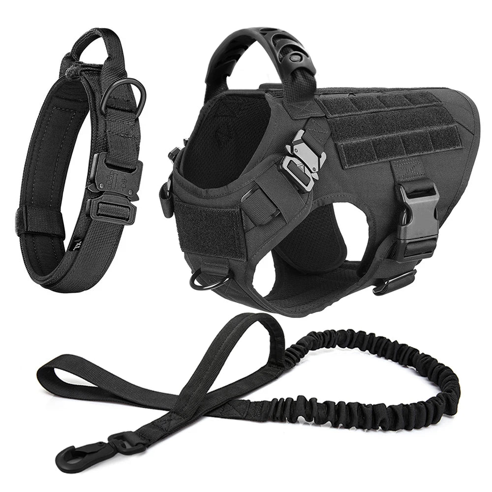 Large Dog Harness & Leash Set for Training