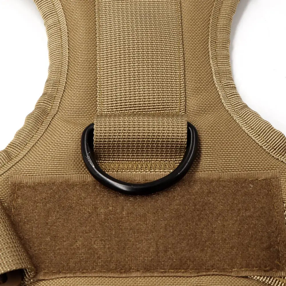Large Dog Harness & Leash Set for Training