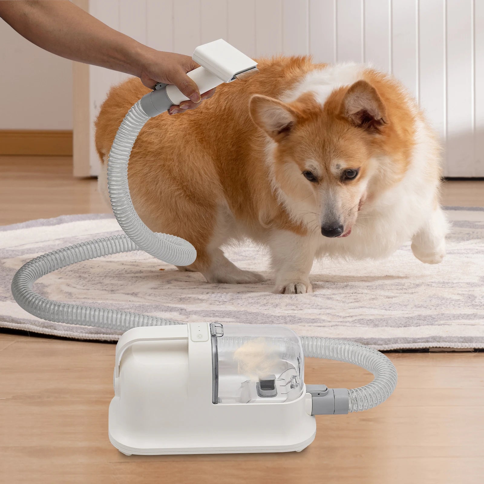 3-in-1 Pet Grooming Tool Set with Low-Noise Trimmer