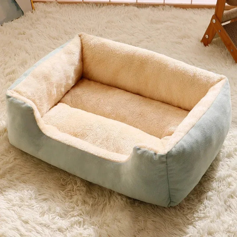 Cats & Dogs Bed and Cushion Accessories Kit