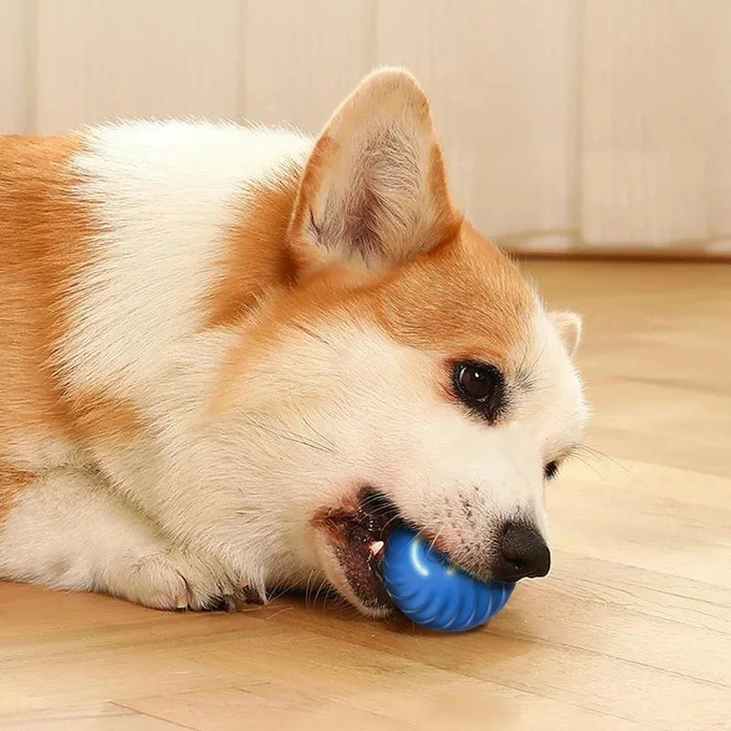 Smart Electronic Interactive Moving Dog & Cat Toy Ball