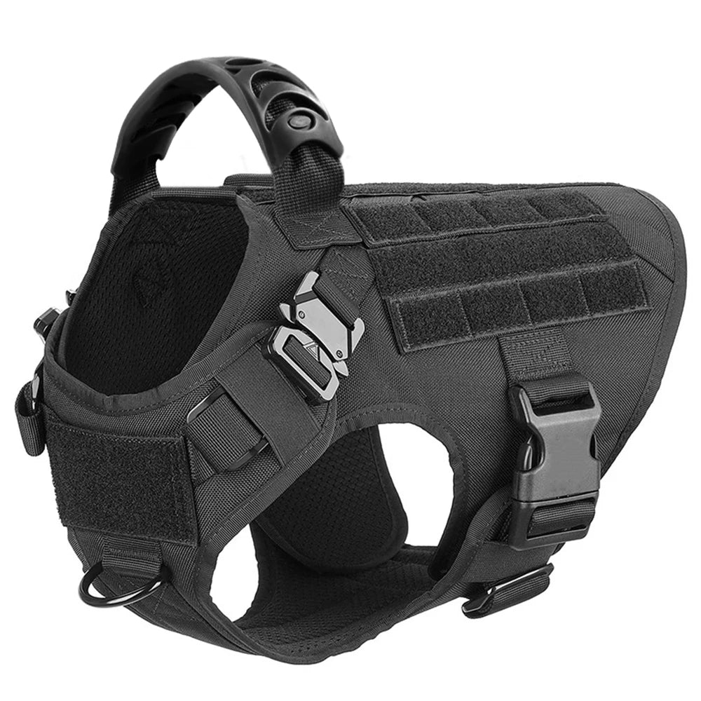 Large Dog Harness & Leash Set for Training