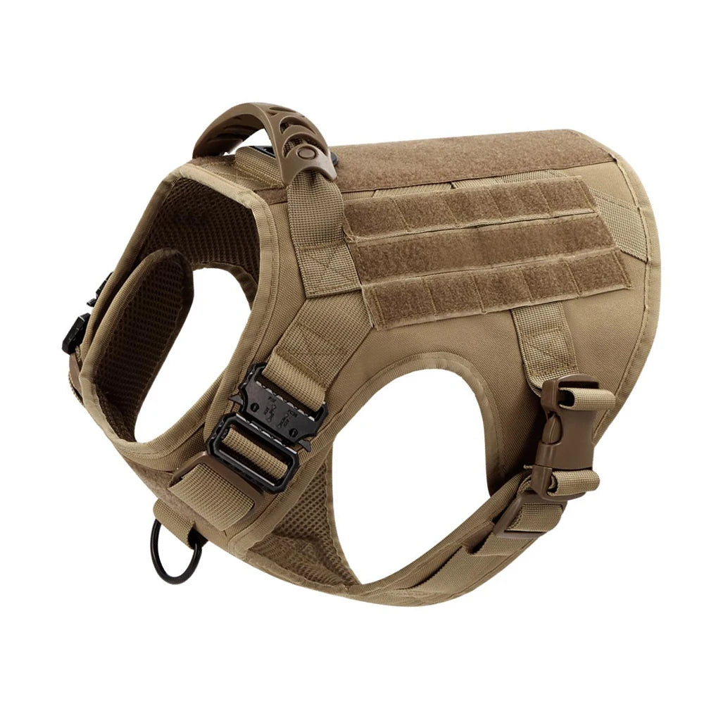 Large Dog Harness & Leash Set for Training