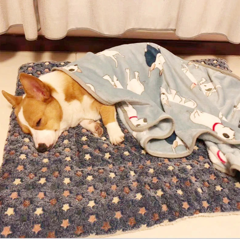 Flannel Pet Sleeping Mat & Sofa Cushion
