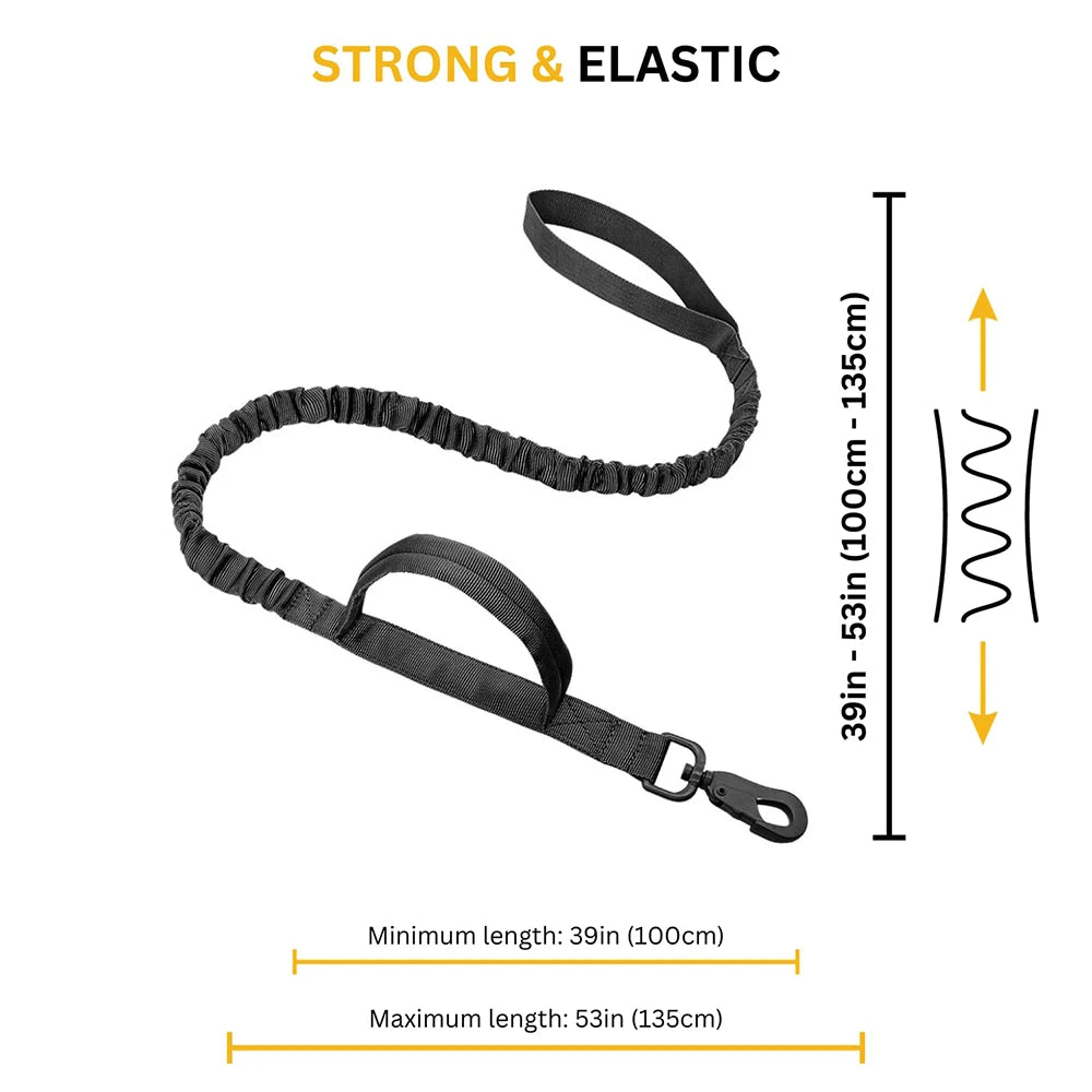 Large Dog Harness & Leash Set for Training