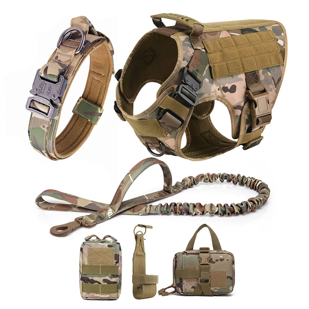 Large Dog Harness & Leash Set for Training