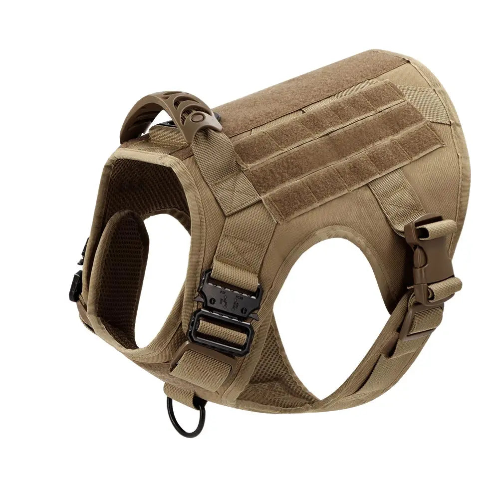 Large Dog Harness & Leash Set for Training