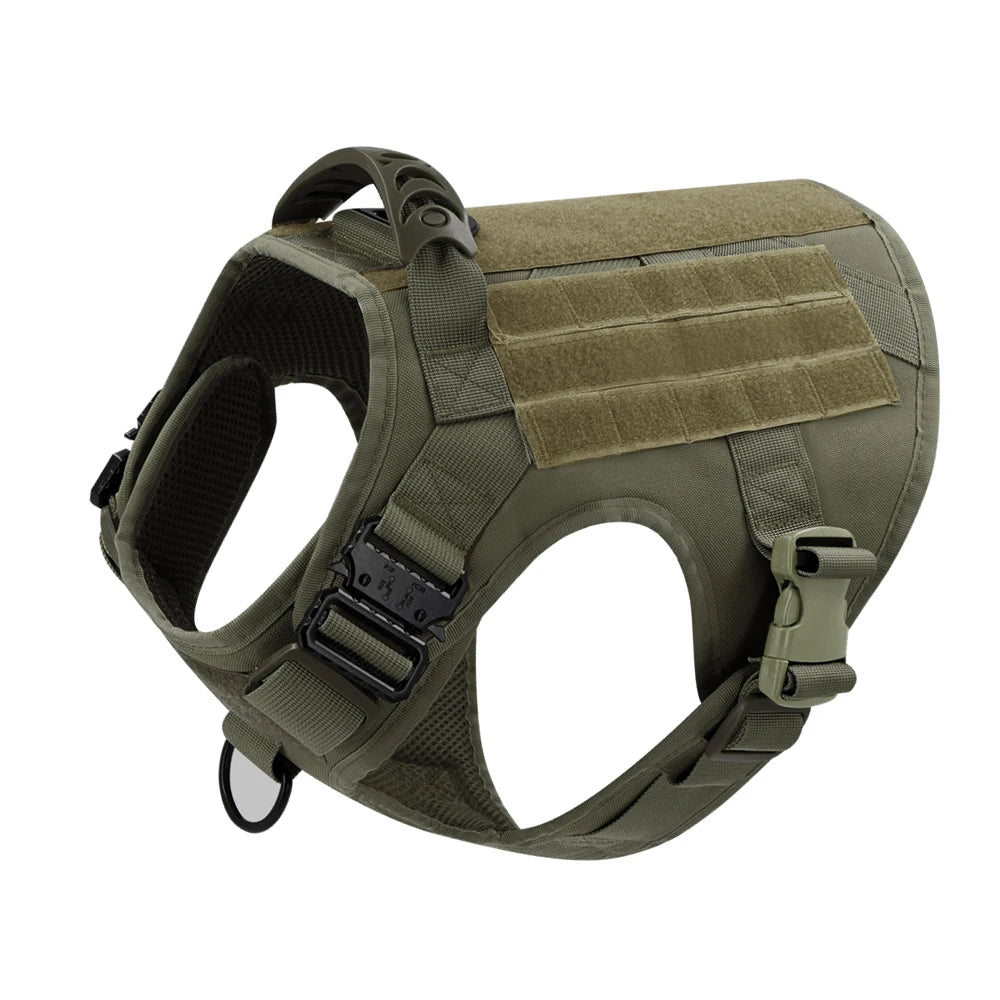 Large Dog Harness & Leash Set for Training