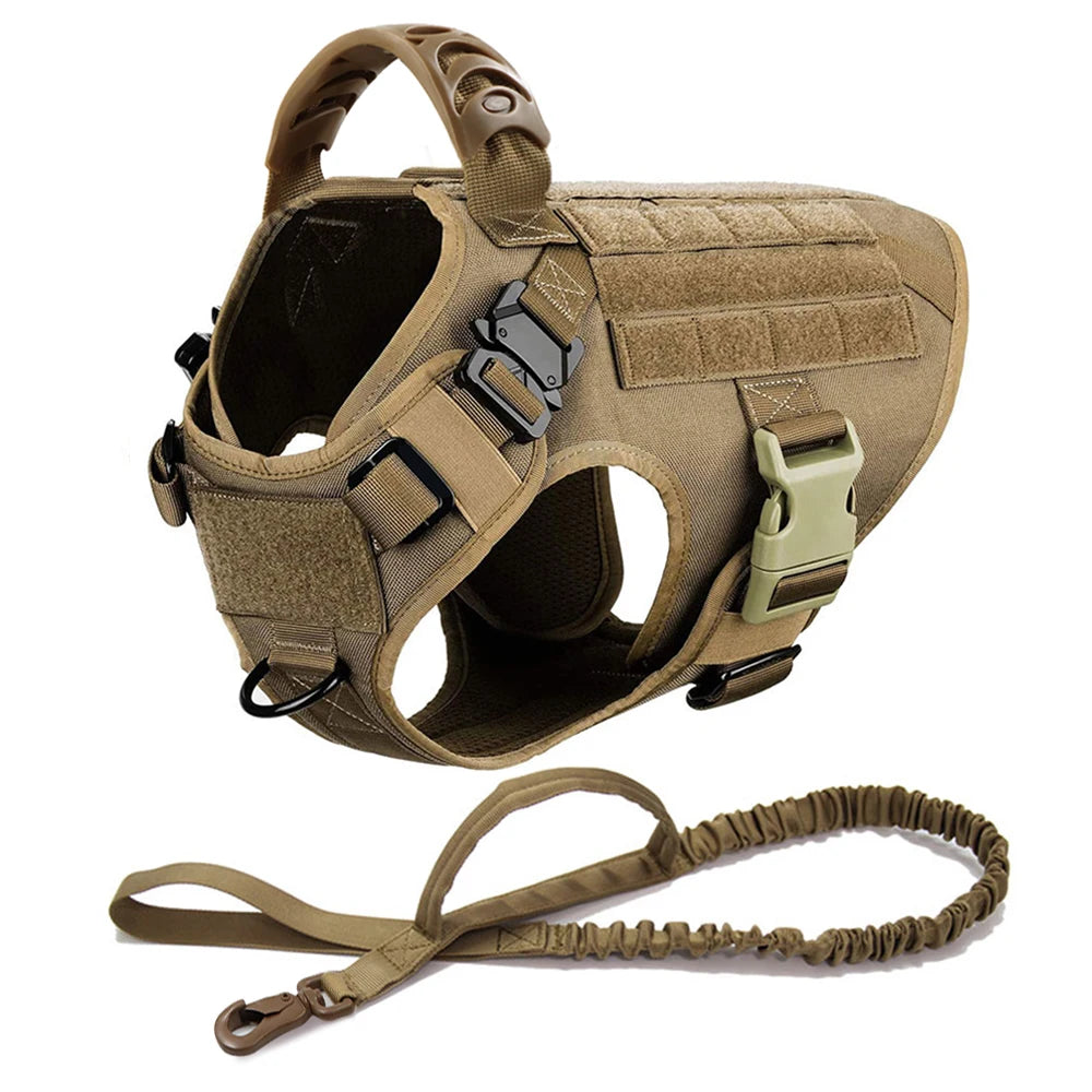 Large Dog Harness & Leash Set for Training
