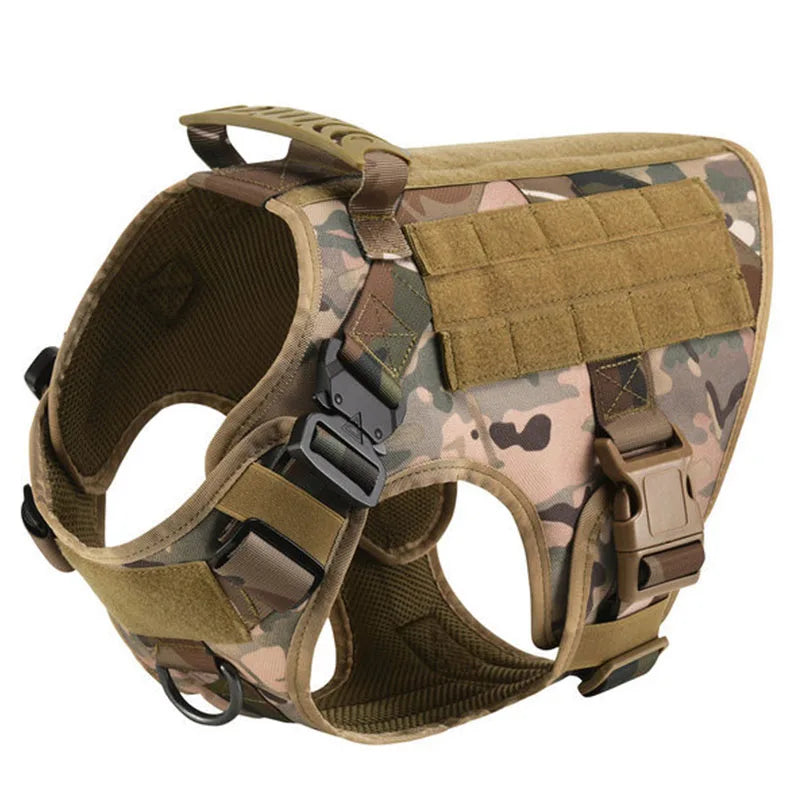 Large Dog Harness & Leash Set for Training