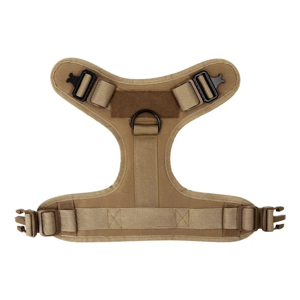 Large Dog Harness & Leash Set for Training