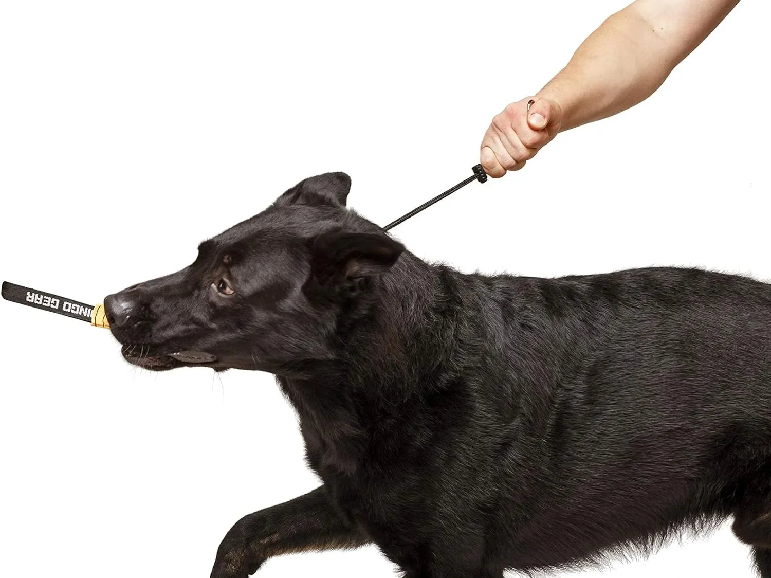 Handmade Dog Training Rope – Waterproof Choke Collar with Limiter