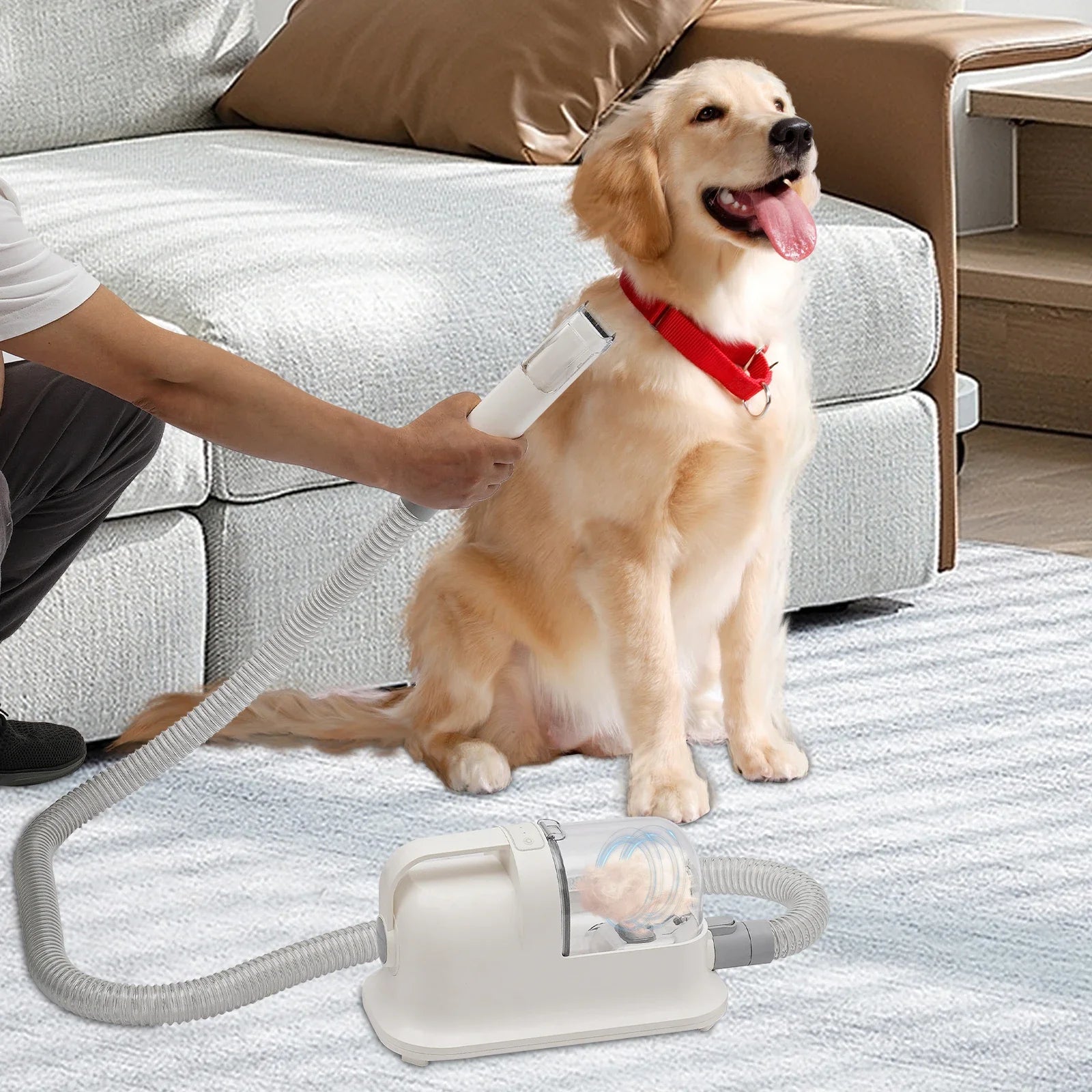 3-in-1 Pet Grooming Tool Set with Low-Noise Trimmer