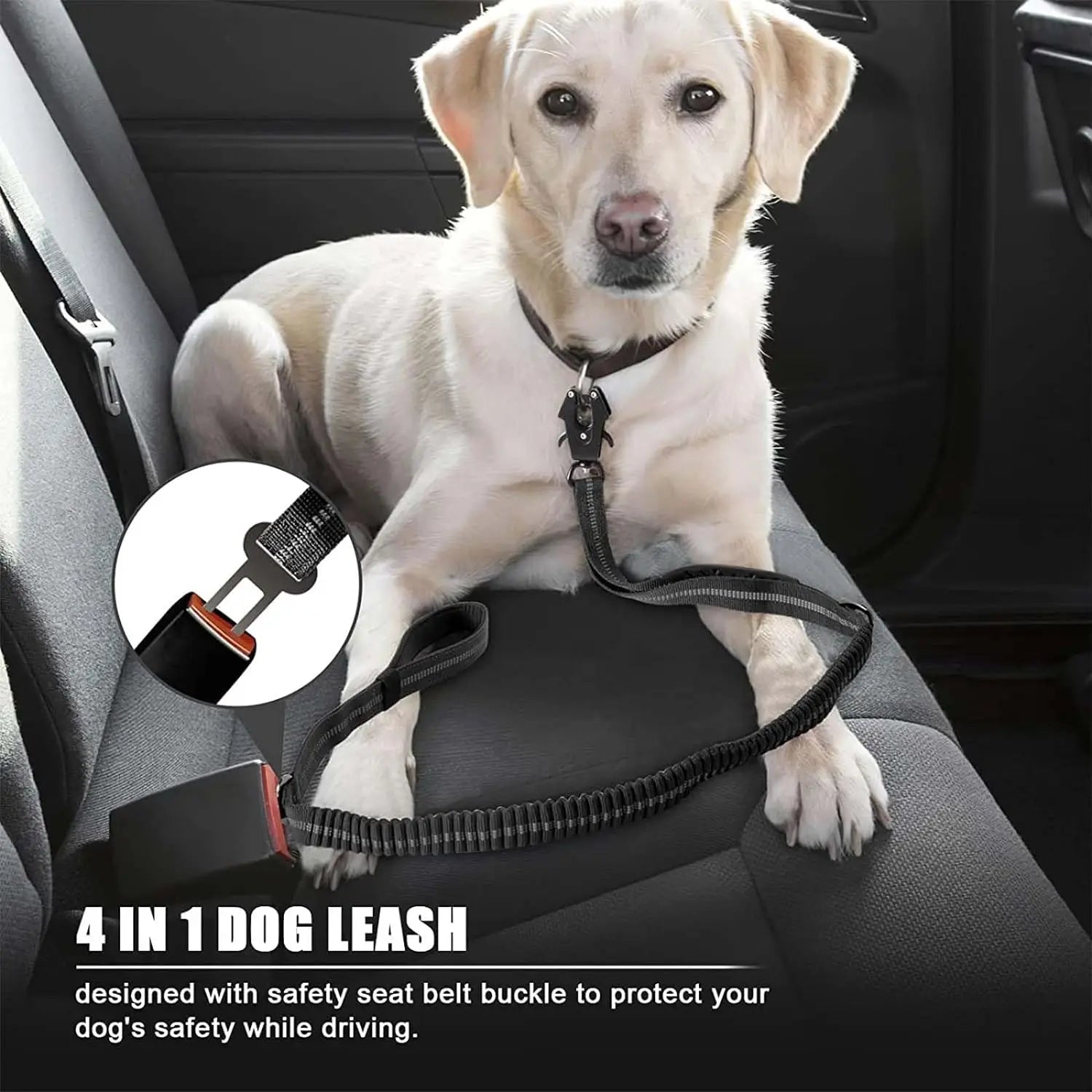 Heavy-Duty Bungee Dog Leash – Reflective, No-Pull with Car Seatbelt Clip