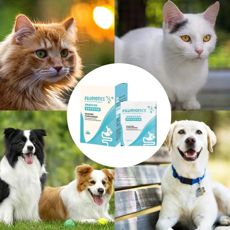 Pet Immune Support Powder – 5 Pack