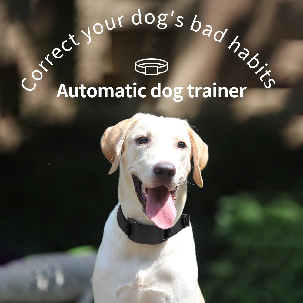 USB Rechargeable Anti-Bark Dog Training Collar