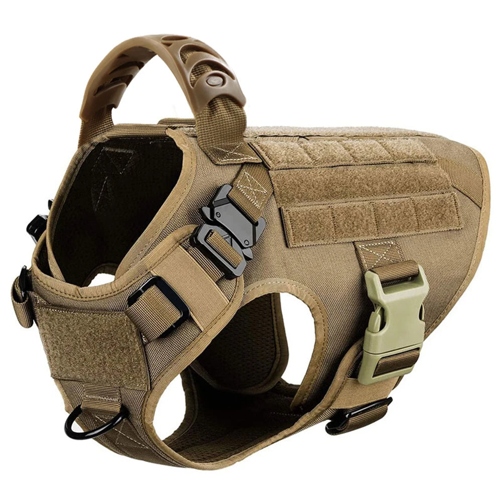 Large Dog Harness & Leash Training Set