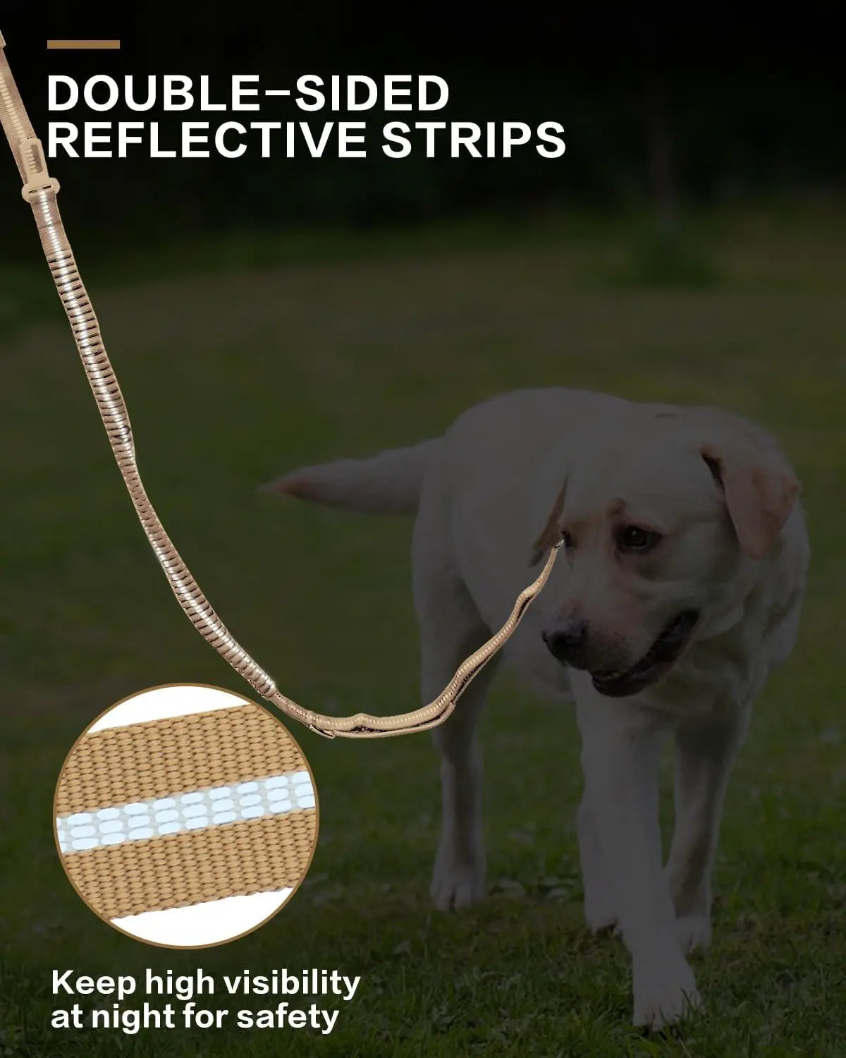 Heavy-Duty Bungee Dog Leash – Reflective, No-Pull with Car Seatbelt Clip