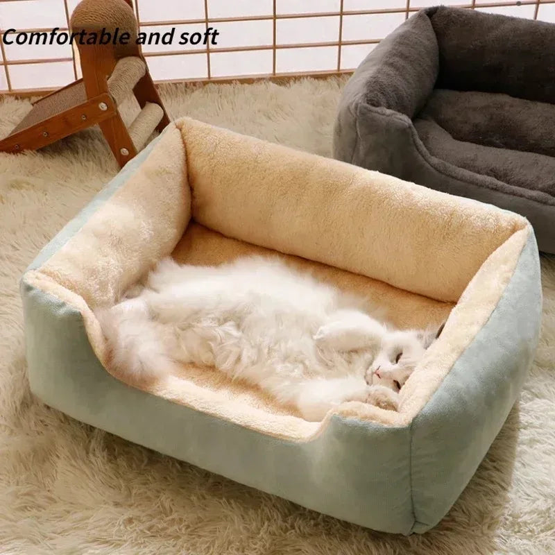Cats & Dogs Bed and Cushion Accessories Kit