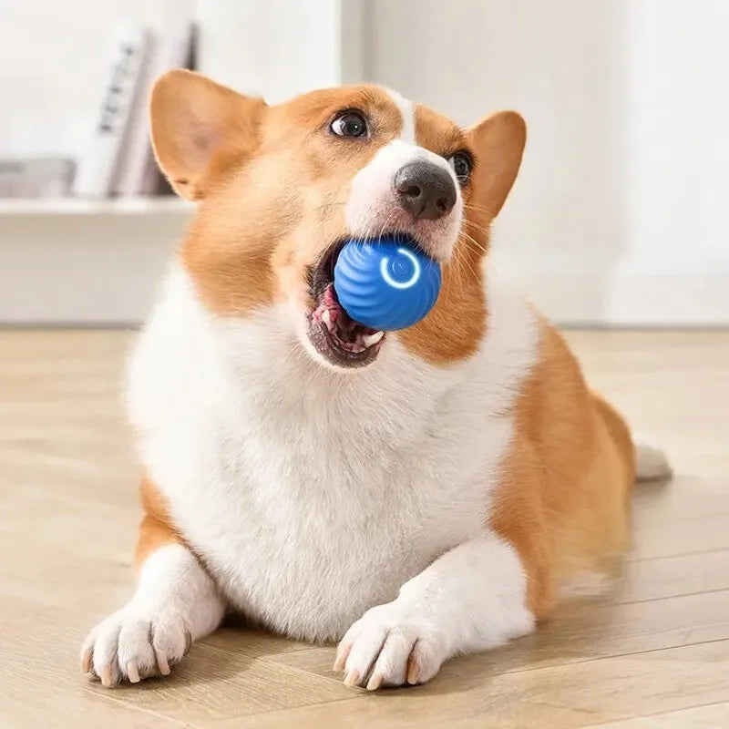 Smart Electronic Interactive Moving Dog & Cat Toy Ball