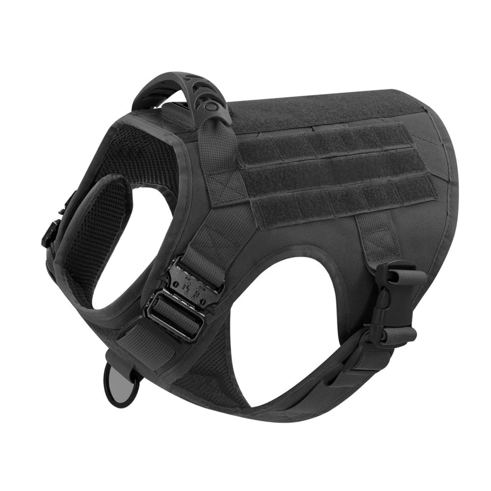 Large Dog Harness & Leash Set for Training