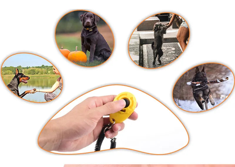Pet Training Clicker – Adjustable Wrist Strap & Keychain