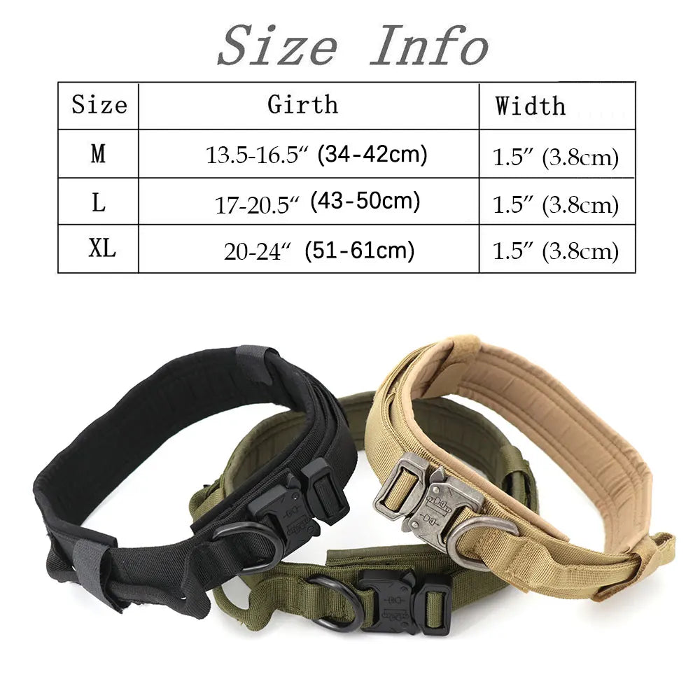 Large Dog Harness & Leash Set for Training
