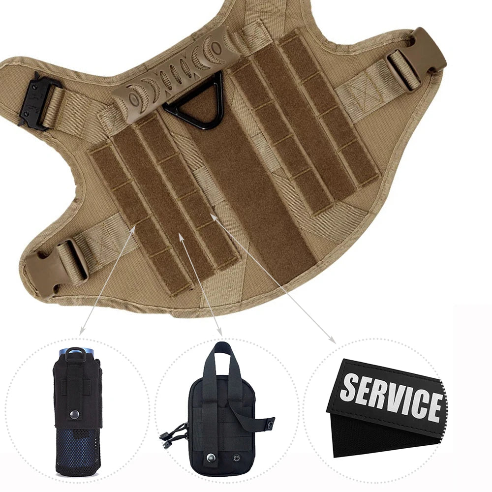 Large Dog Harness & Leash Set for Training