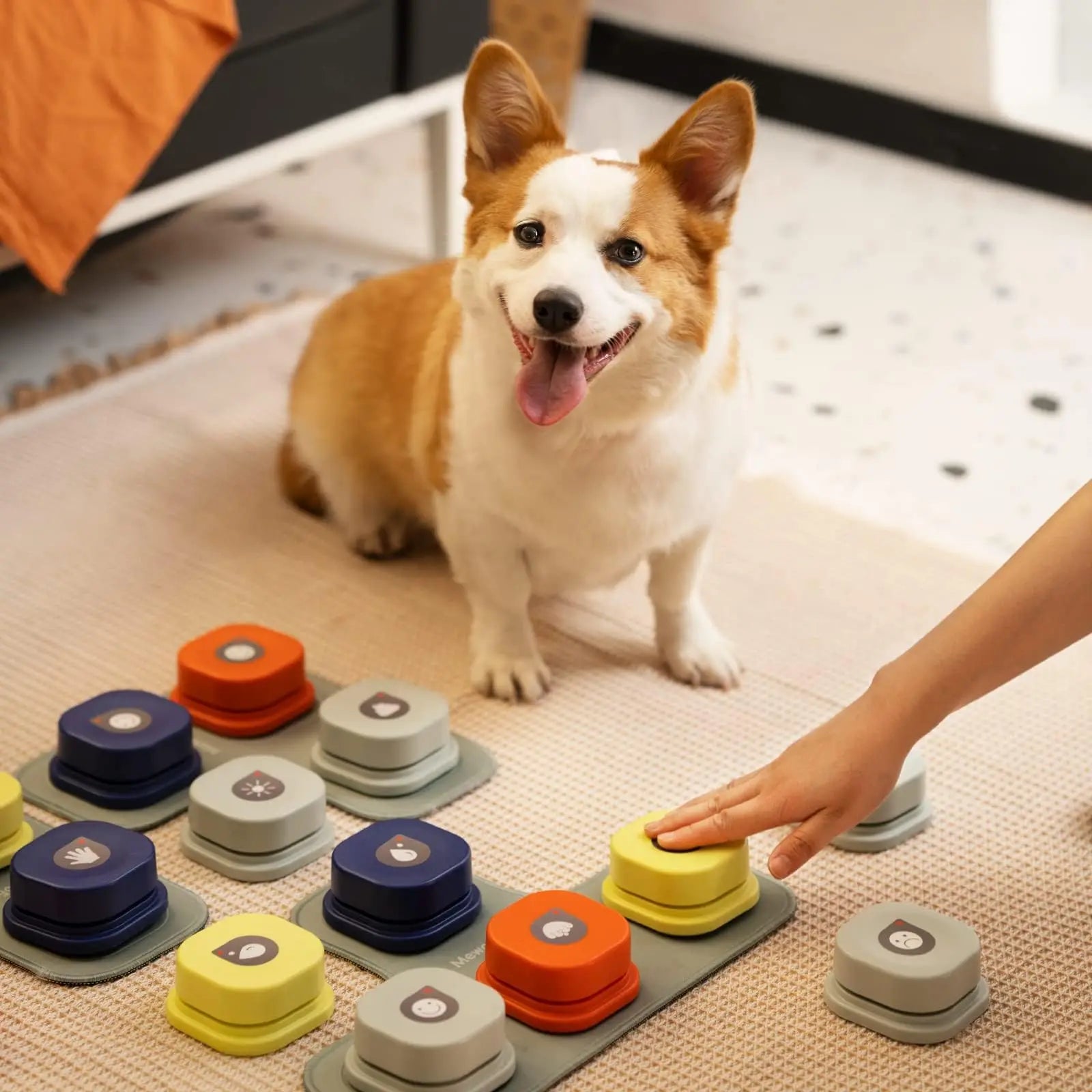 MEWOOFUN Dog Talking Button Toy with Pad