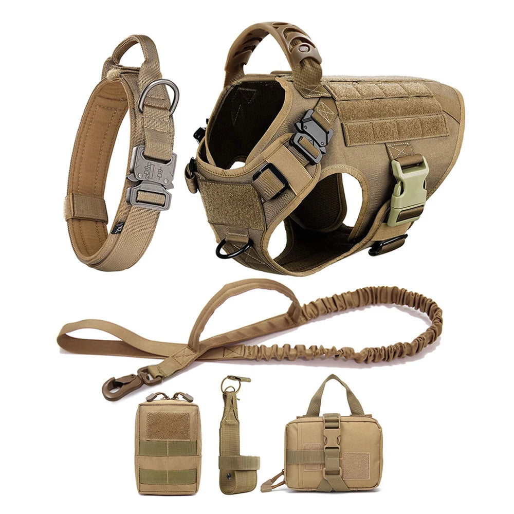 Large Dog Harness & Leash Set for Training