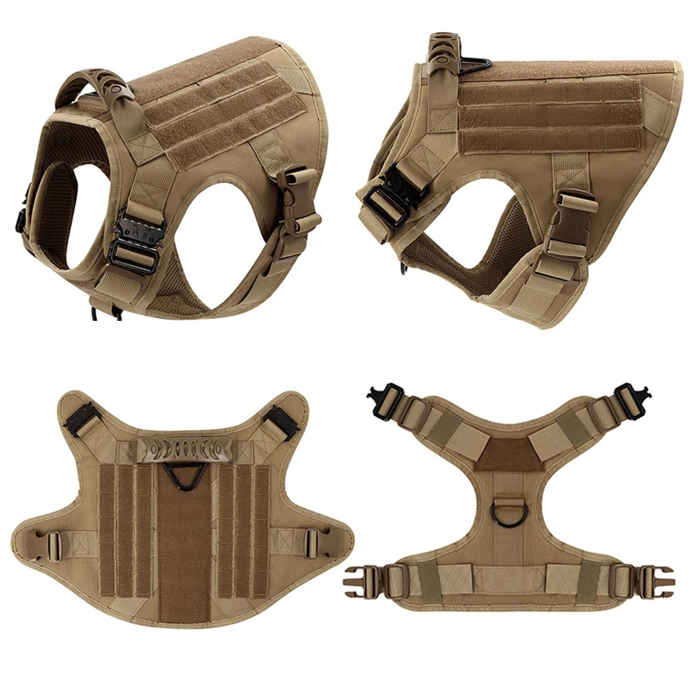 Large Dog Harness & Leash Set for Training